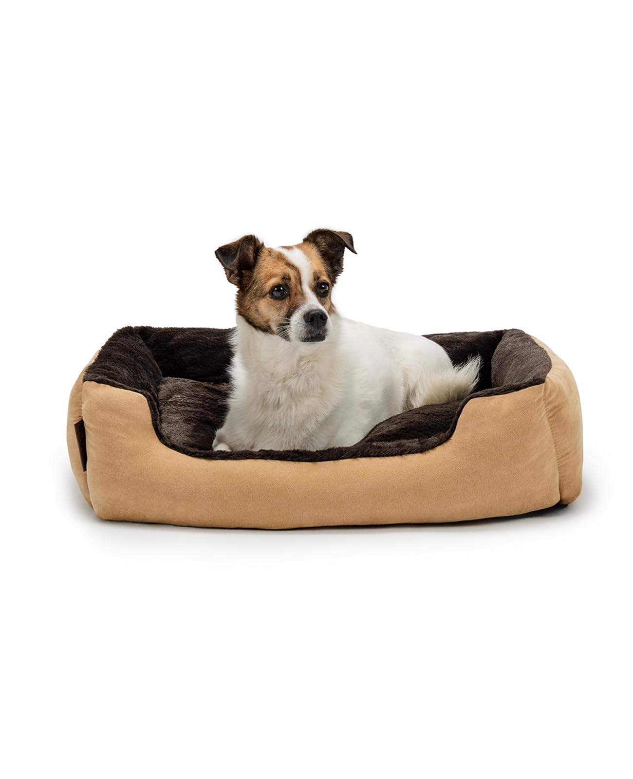 lionto Cuccia per Cani con Cuscino Reversibile, 60 x 48 cm, Beige/Marrone | Letto per cani e gatti con superficie morbida, materiali facili da pulire e base stabile per riposo quo…