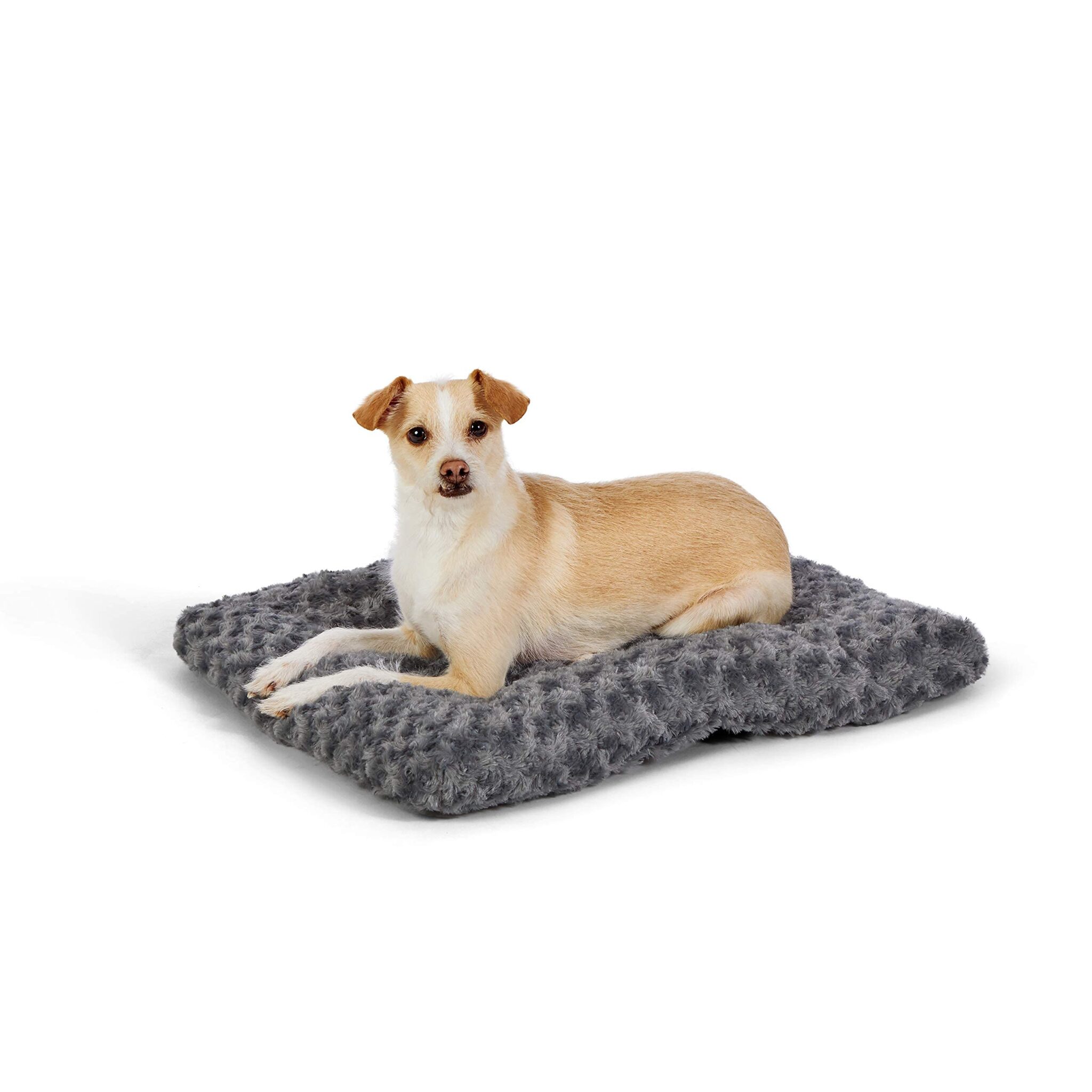 Amazon Basics Lavabile in lavatrice Materassino per Cane animali domestici, grigio con motivi a spirale, L 58 x P 46 x H 6 cm