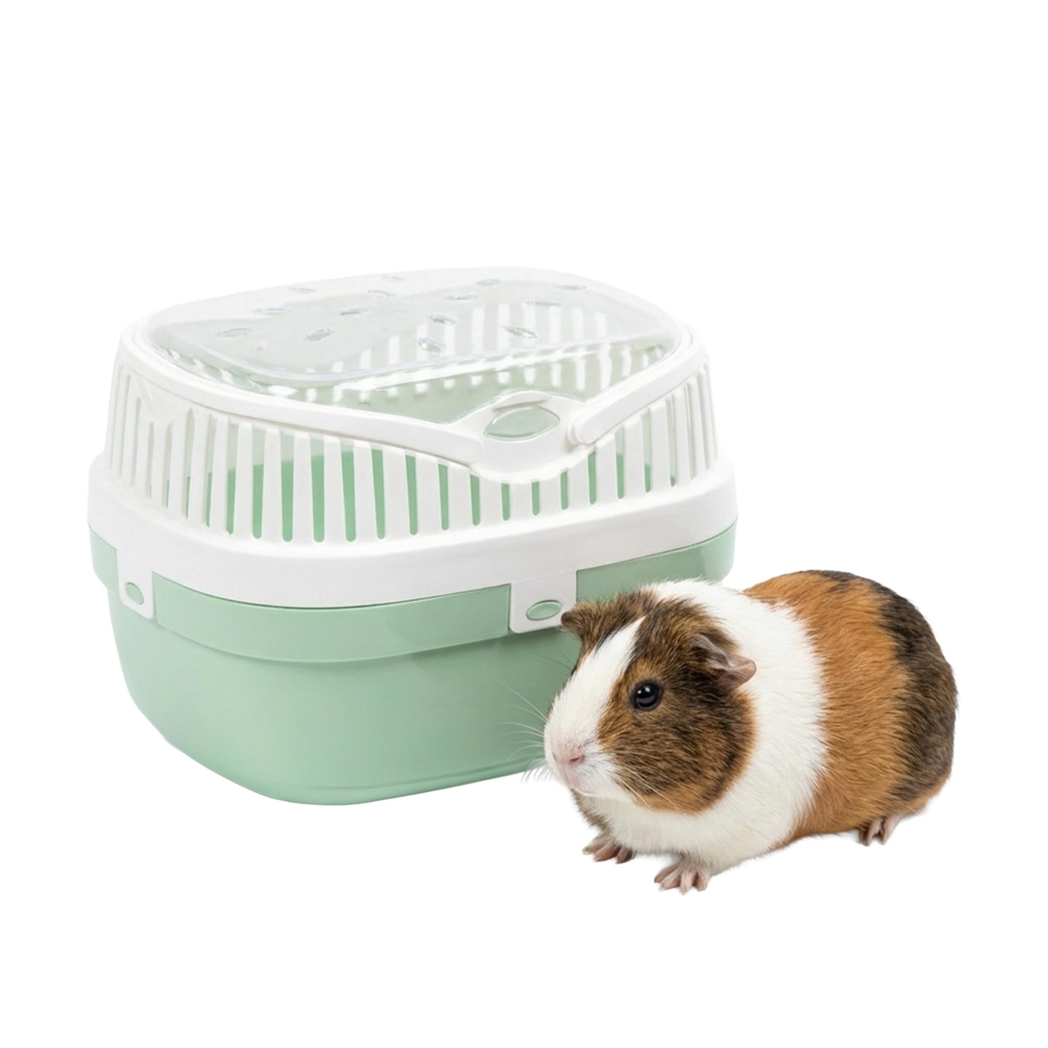Ferplast Trasportino per porcellini d'india e altri roditori ALADINO MEDIUM Fessure di ventilazione, Comoda maniglia, Chiusura sicura, 30 x 23 x h 21 cm Blu