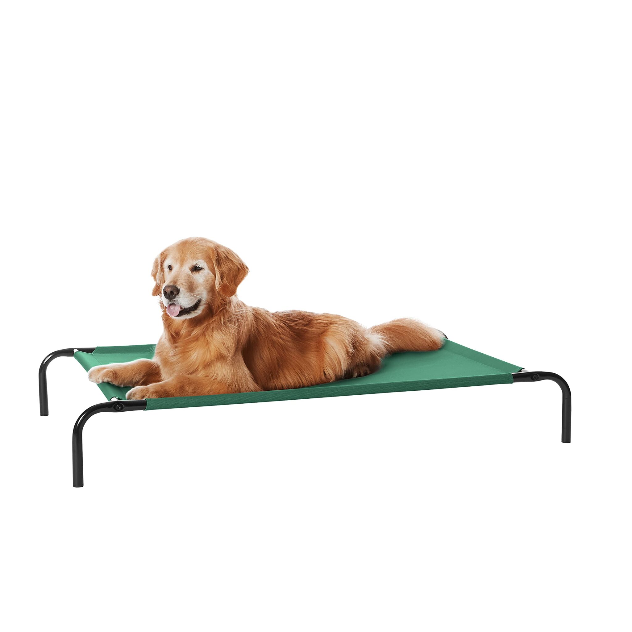 Amazon Basics Per Cani, Lettino rialzato rinfrescante per animali domestici, Stoffa, Verde, Misura L, L 130 x P 80 x H 19 cm