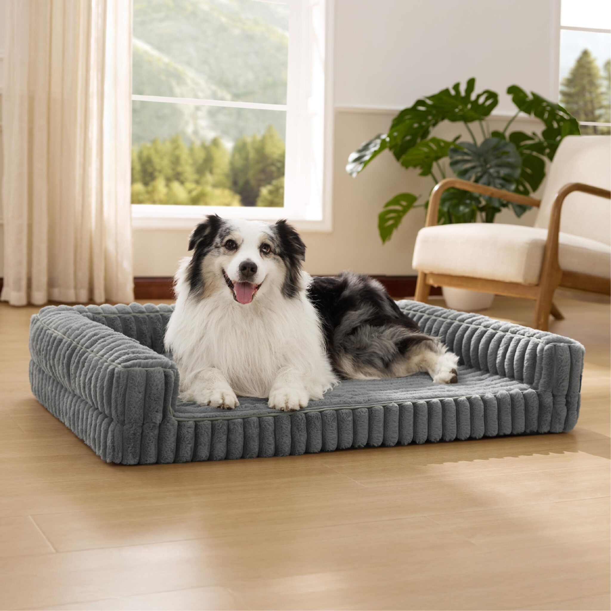 Bedsure Cuccia Ortopedica per Cani Grandi - 106x76x18cm Letto Ortopedico in Memory Foam con Bordi, Impermeabile, Base Antiscivolo e Fodera in Velluto a Coste Sfoderabile, Grigio c…