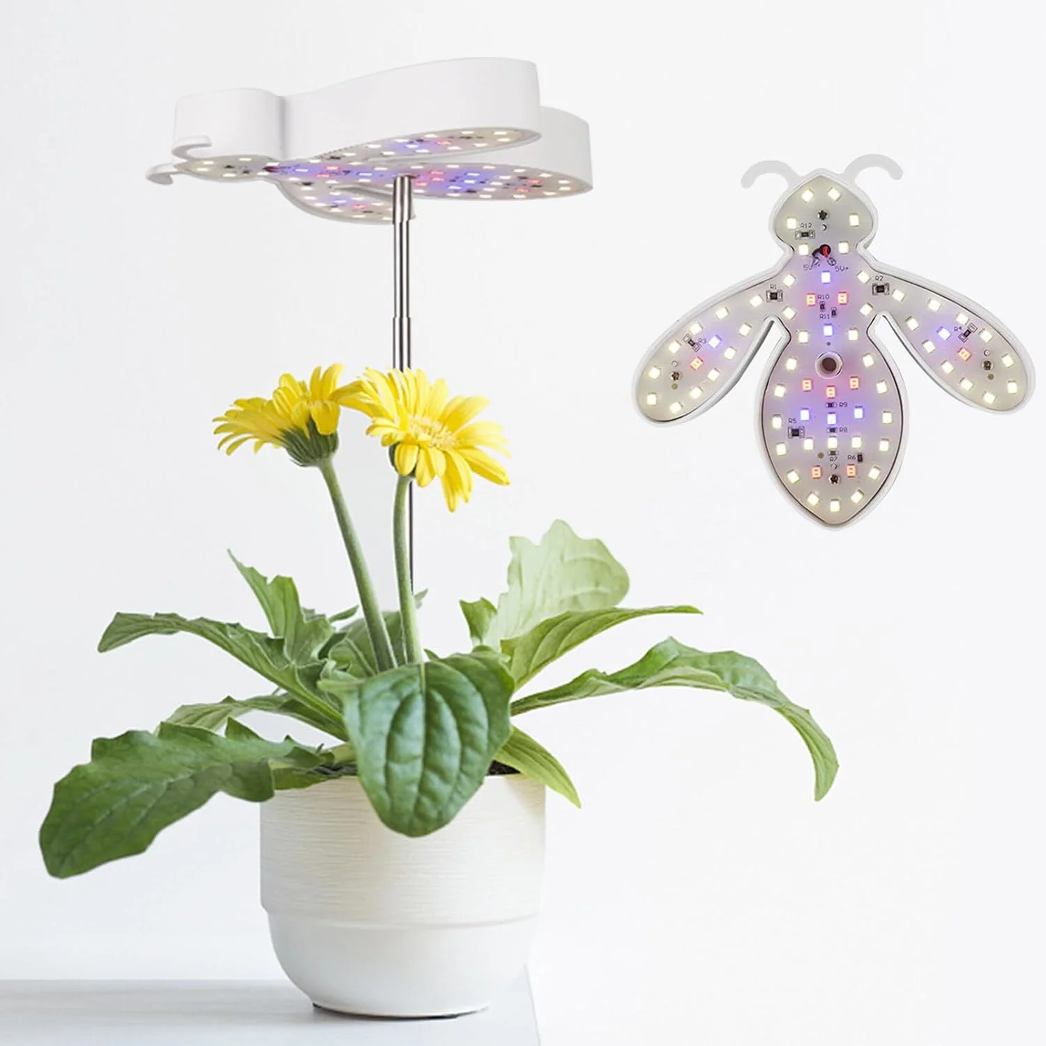 Lampada per la Crescita delle Piante Little Bee, Luce LED per Coltivazione, USB 5V, Controllo Temporizzato, Sistema Idroponico da Interno, Illuminazione per Fiori e Piantine