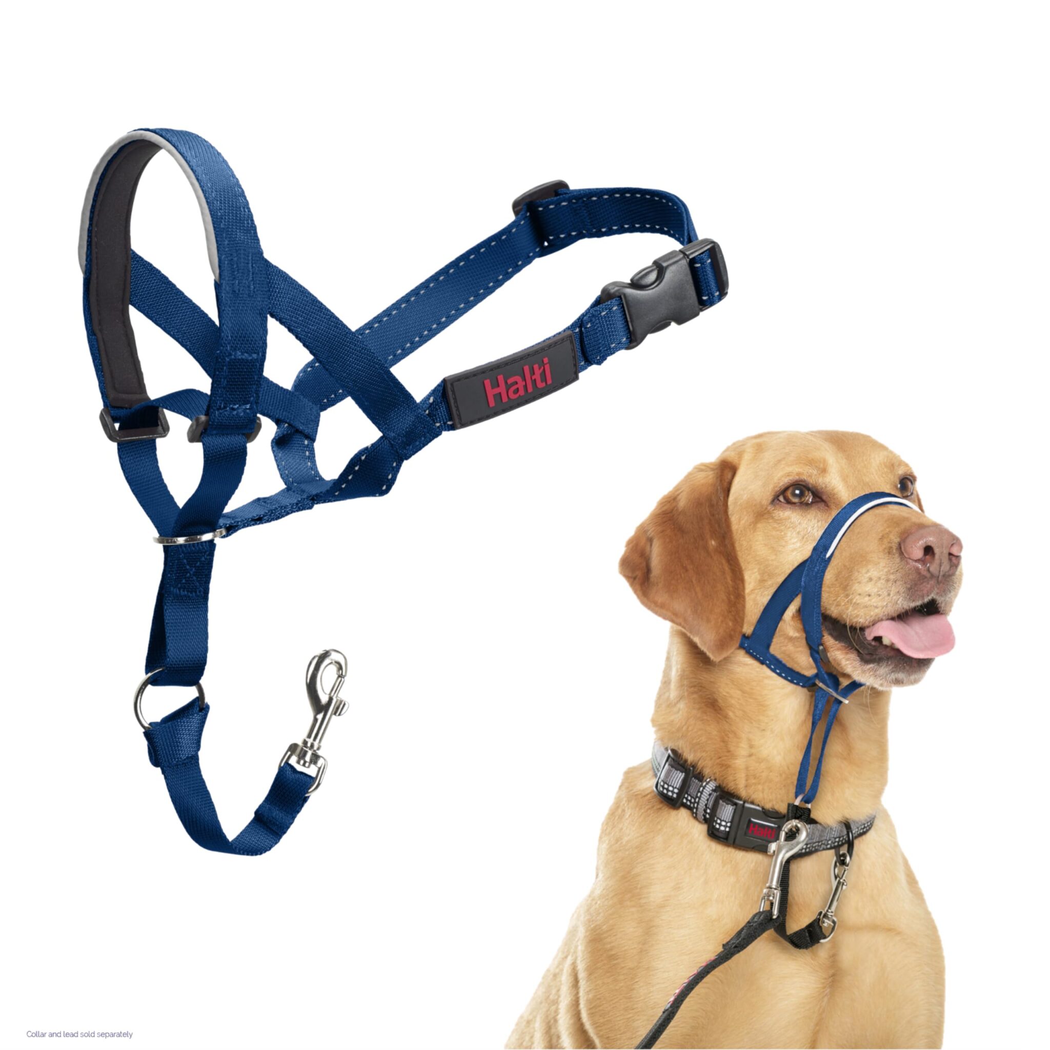HALTI - Cavezza per impedire al cane di tirare al guinzaglio, regolabile, riflettente e leggera, con nasello imbottito, collare anti-tiro, per addestramento cani medi (Taglia 3, b…