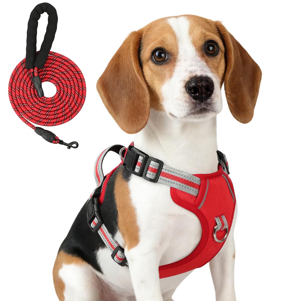 AYESY Pettorina anti-tiro per cani,Regolabile per Cane di Taglia Media | Pettorina con Guinzaglio,Robusto e Regolabile Imbracatura Traspirante,con Maniglia Rinforzata e Bande Rifl…