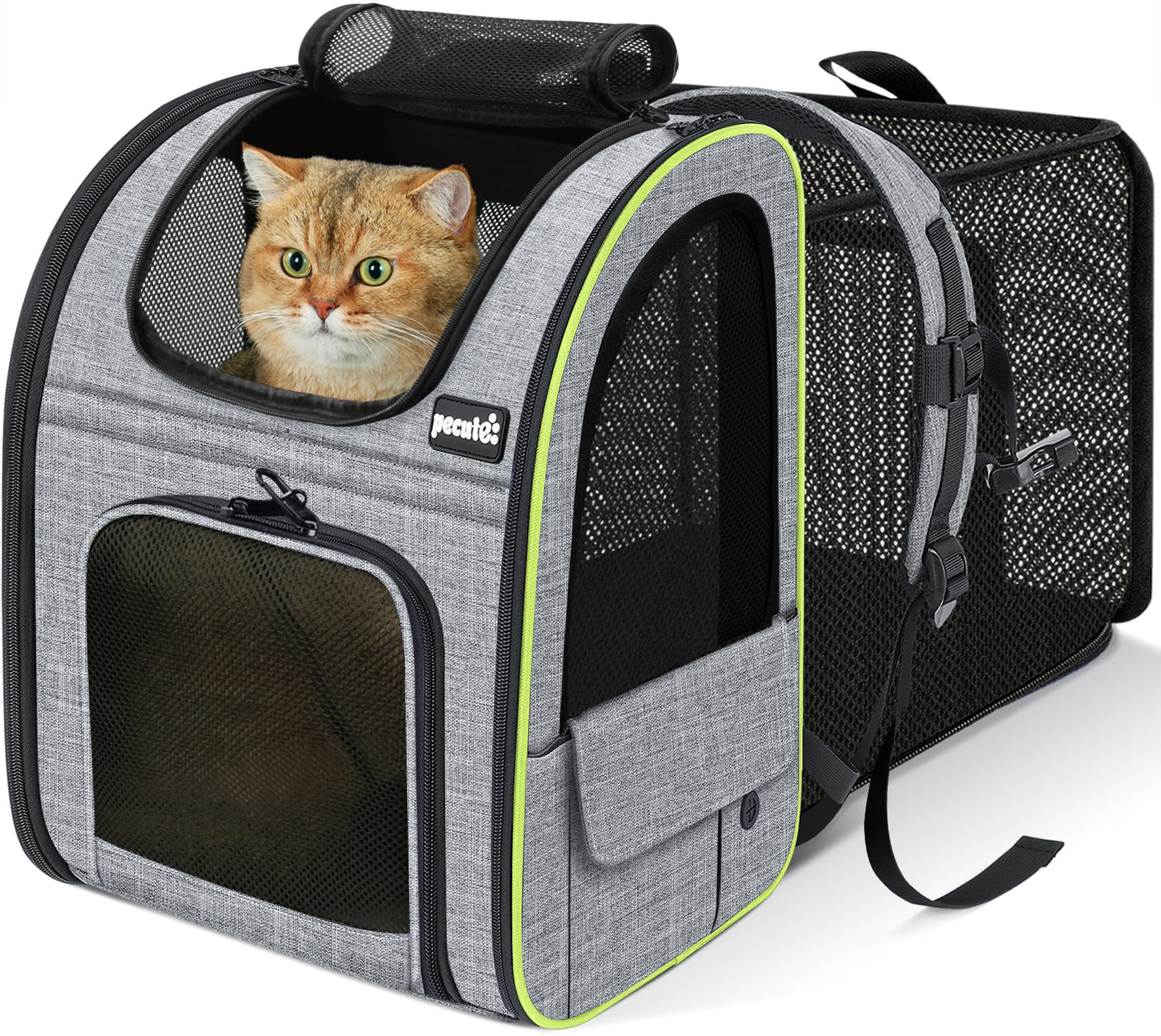Pecute Zaino per Cani Gatti Estensibile, Cuccia Portatile, Trasportino Estraibile Indicato per Viaggi Sia Lunghi Che Corti, Grigio
