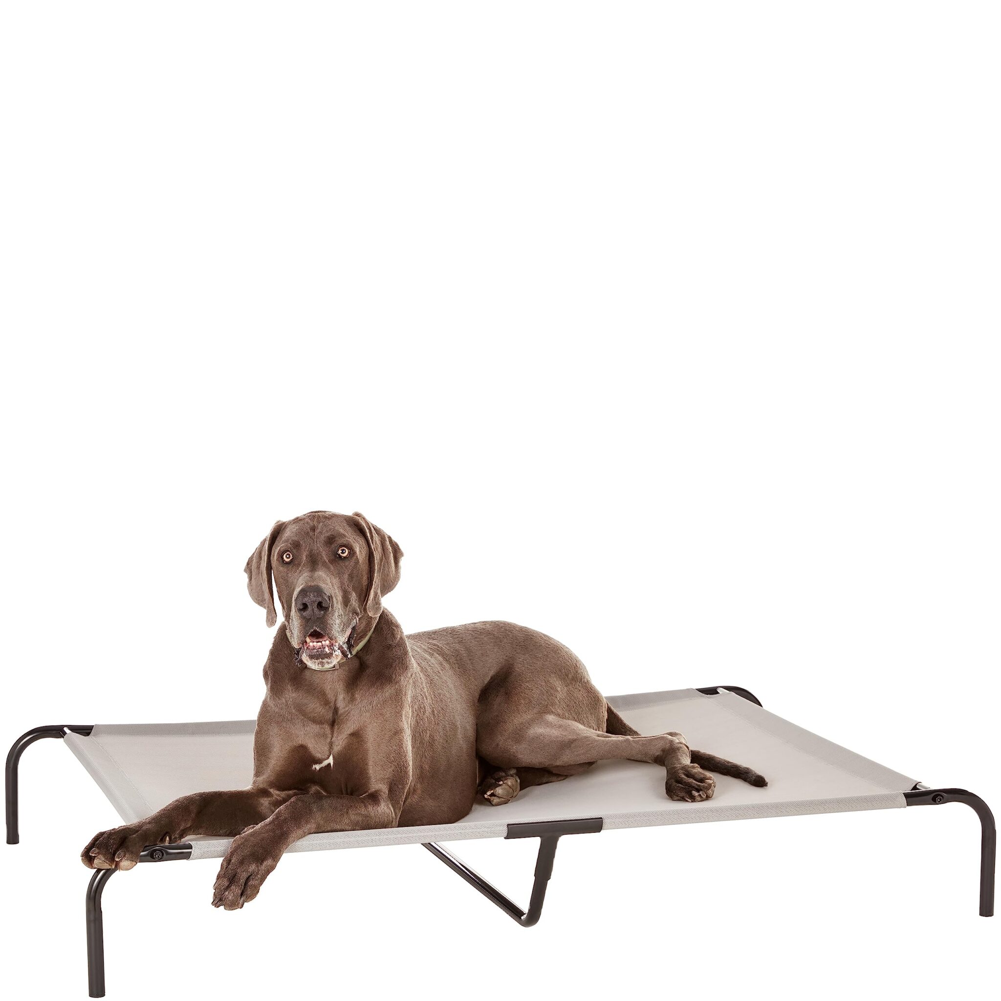 Amazon Basics Cane, Lettino rialzato rinfrescante per animali domestici, stoffa, Misura XL, Grigio, L 153 x P 94 x H 23 cm
