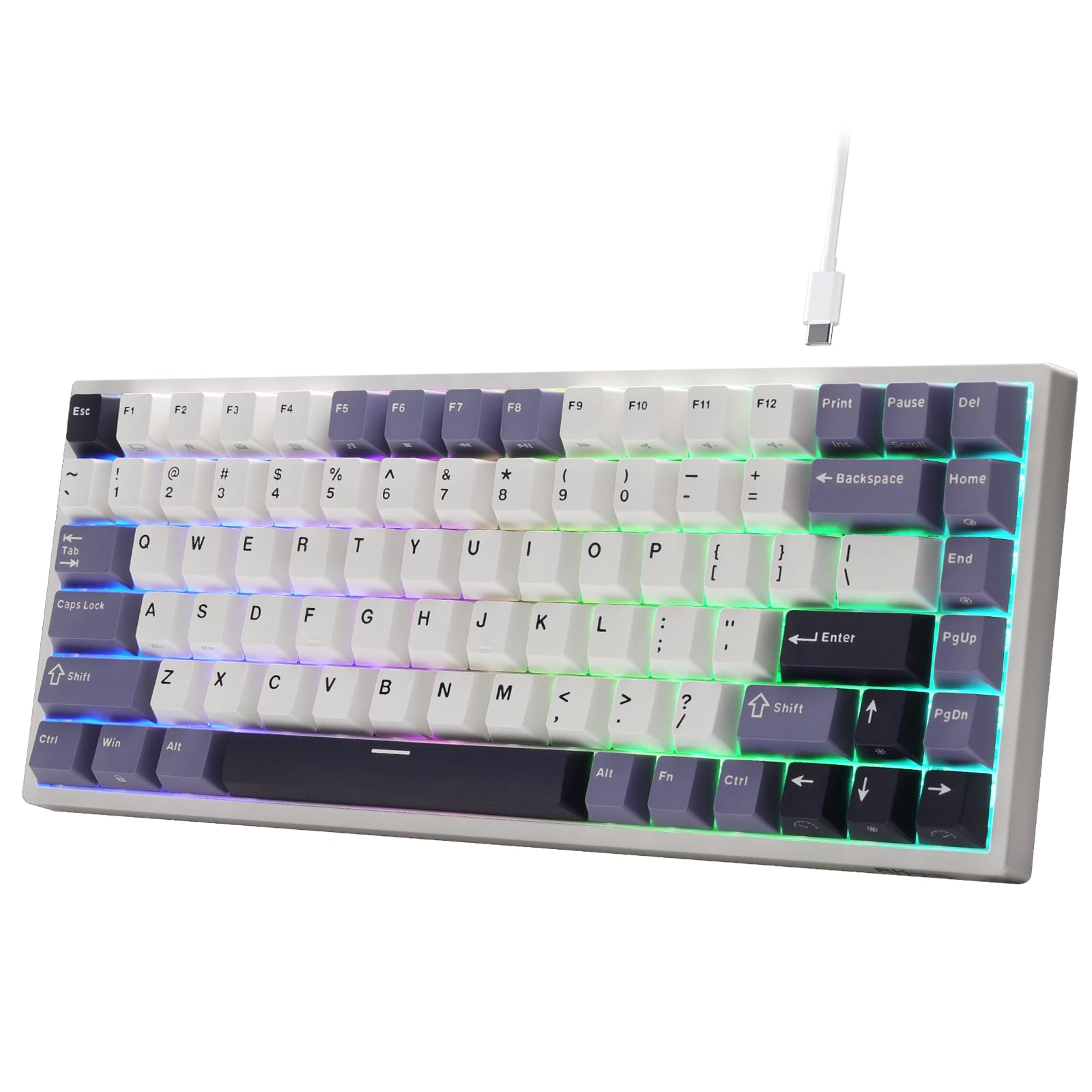 RK ROYAL KLUDGE C84 Tastiera gioco RGB, interruttore magnetico effetto Hall | Tastiera meccanica cablata 75% TKL, tastiera triggerrapido punto attuazione regolabile, frequenza pol…