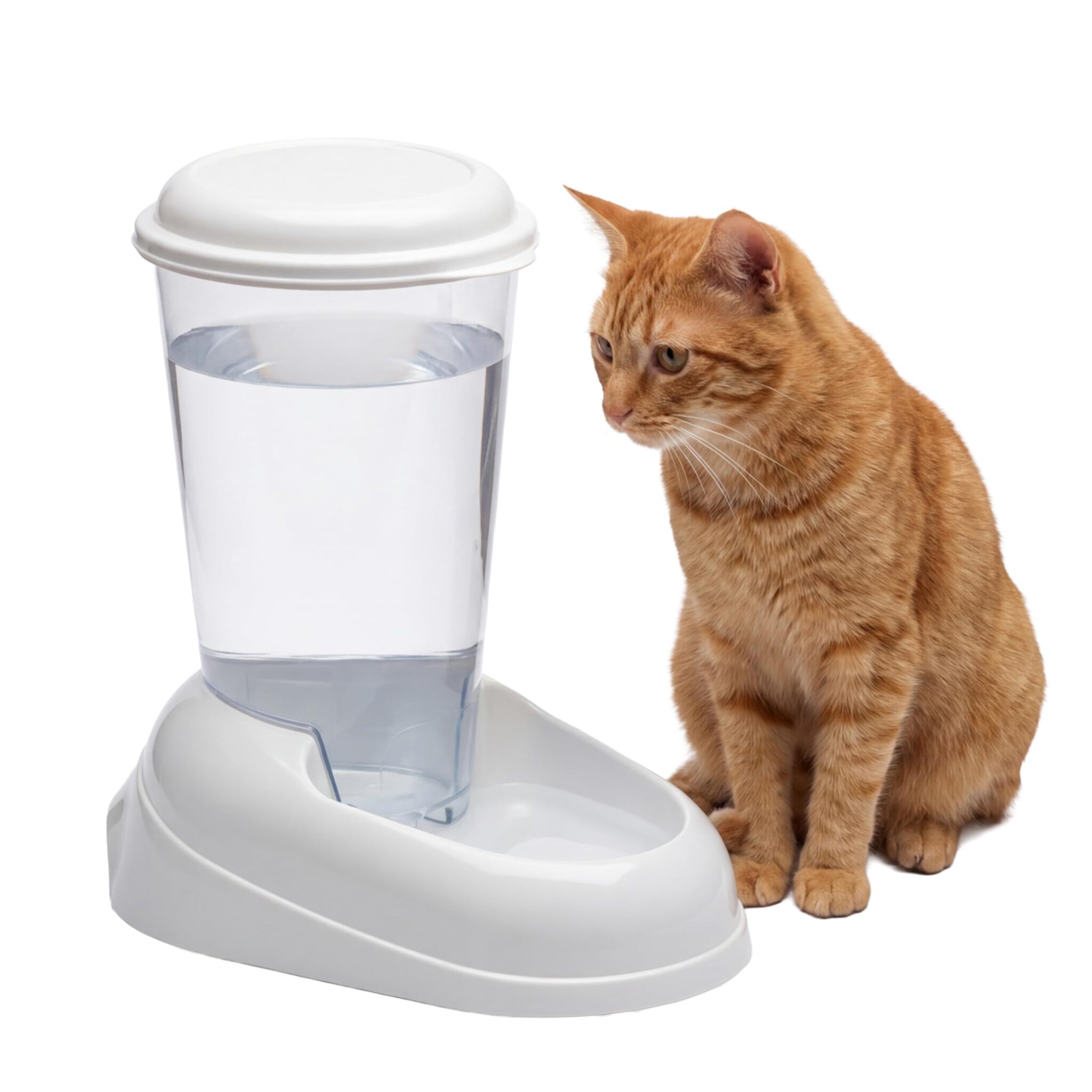 Ferplast Distributore d'acqua per cani e gatti NADIR Drinker 3 Litri per cani di piccola e media taglia, Fondo antiscivolo, 29,2 x 20,2 x h 28,8 cm Bianco