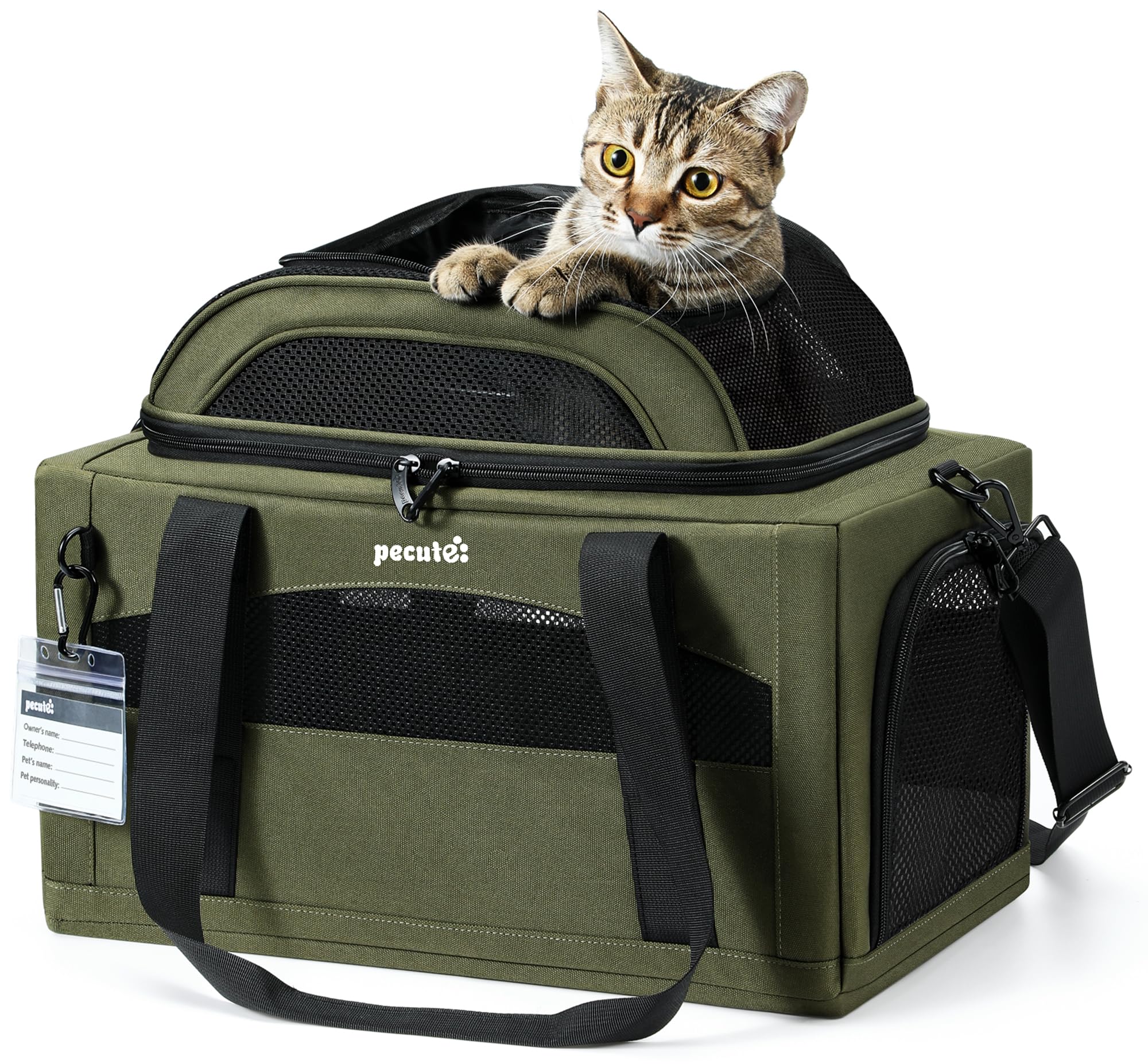 Pecute Trasportino Gatto Grande Espandibile Omologato Aereo - Verde | Espansione Superiore +40% / Omologato Aereo TSA / Per Gatti Grandi / Telaio Acciaio Anti-Schiacciamento