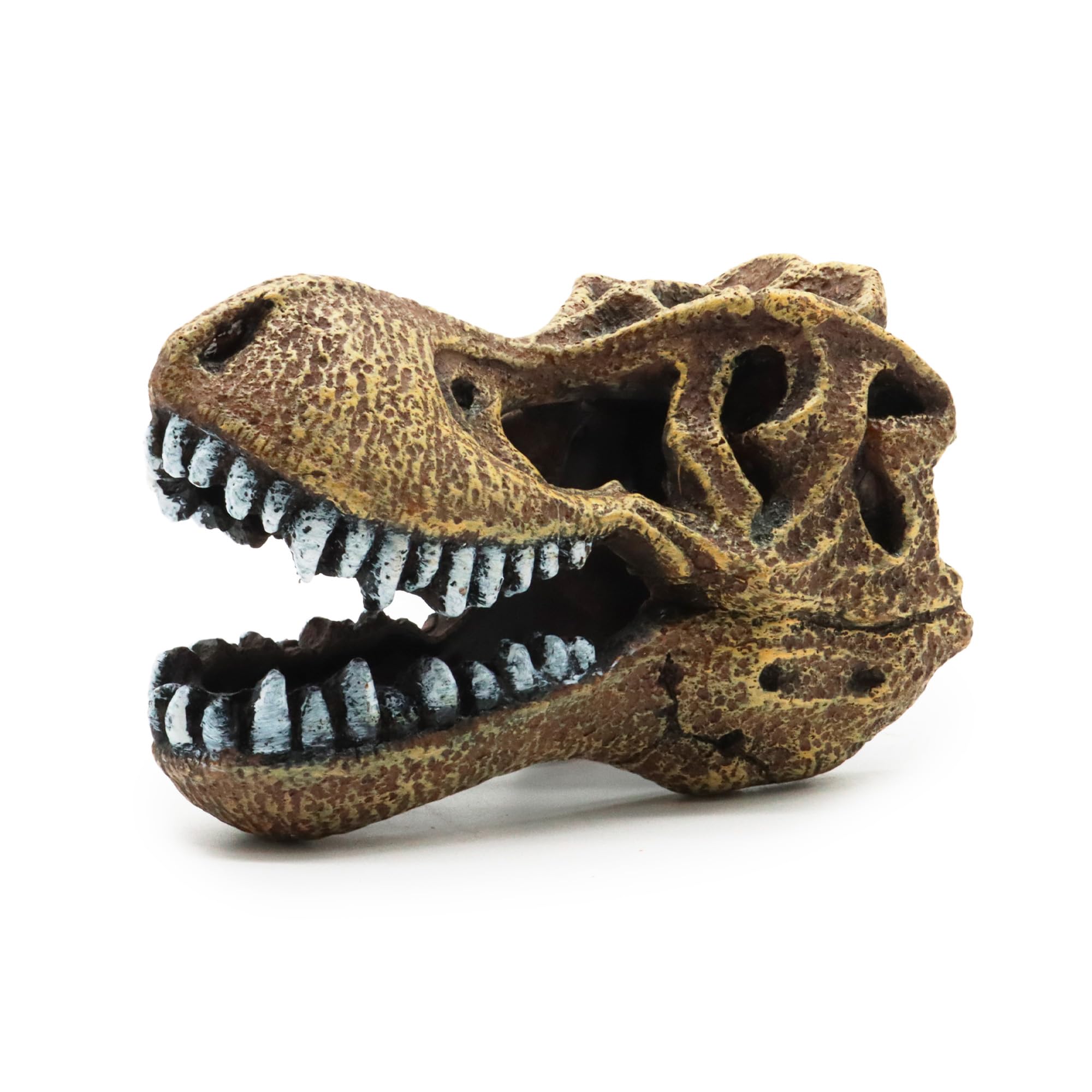 Amtra Deko T-Rex - Decorazione in Resina atossica per Acquari, Accessorio Ornamentale subacqueo, Decorativo rifugio nascondiglio, Dipinto a Mano, Dimensione 8 * 7 * 14 cm