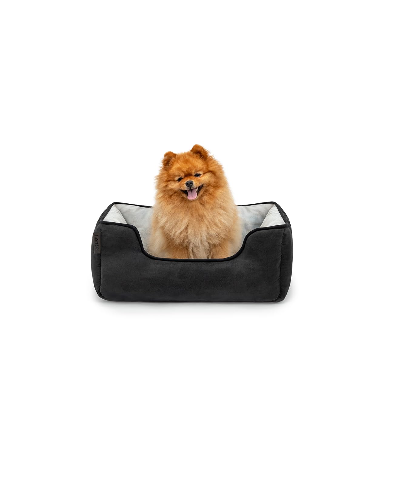 lionto Cuccia Cane 2-in-1 Effetto Scamosciato, 60 x 50 cm, Nero | Cuccia reversibile resistente con ingresso basso confortevole e materiali facili da pulire per cani e gatti, lava…