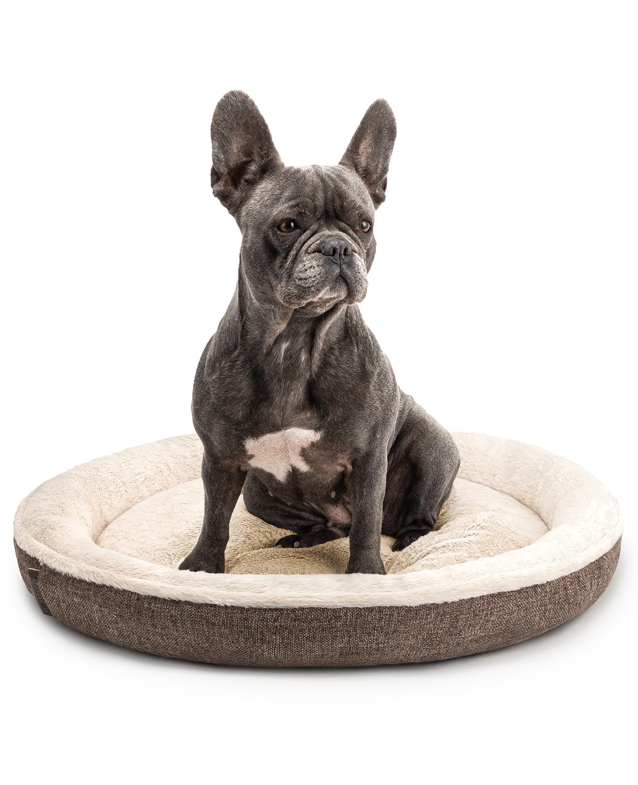 lionto Cuccia Rotonda a Ciambella, Cuscino Cane e Gatto Ø 65 cm, Marrone | Cuccia rotonda con imbottitura morbida, fodera lavabile, bordo rialzato e base antiscivolo per cani e ga…