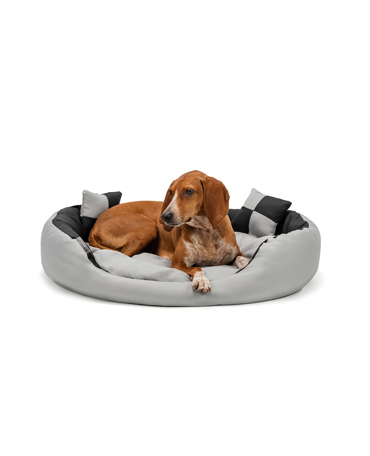 lionto Cuccia Cane 4-in-1 con Cuscino Reversibile, 85x70 cm, Nero | Cuccia idrorepellente in tessuto Oxford con cuscino rimovibile e ingresso basso per cani, gatti, cuccioli e anz…