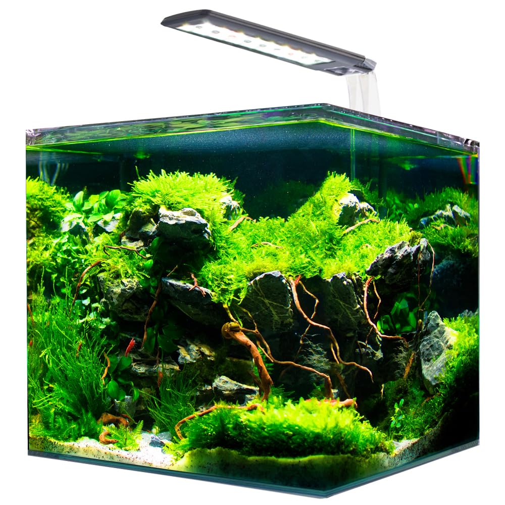 AMTRA NANOTANK SYSTEM 30 / Acquario in vetro completo di luce LED e filtro / cm 30x30x35 / 30 Litri