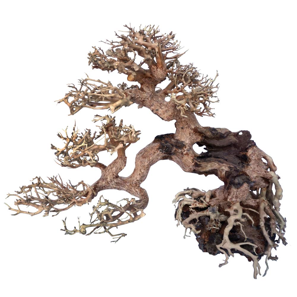 Amtra - Legno Oriental Wind 7, fatto a mano, per acquario, 25X10X20 CM