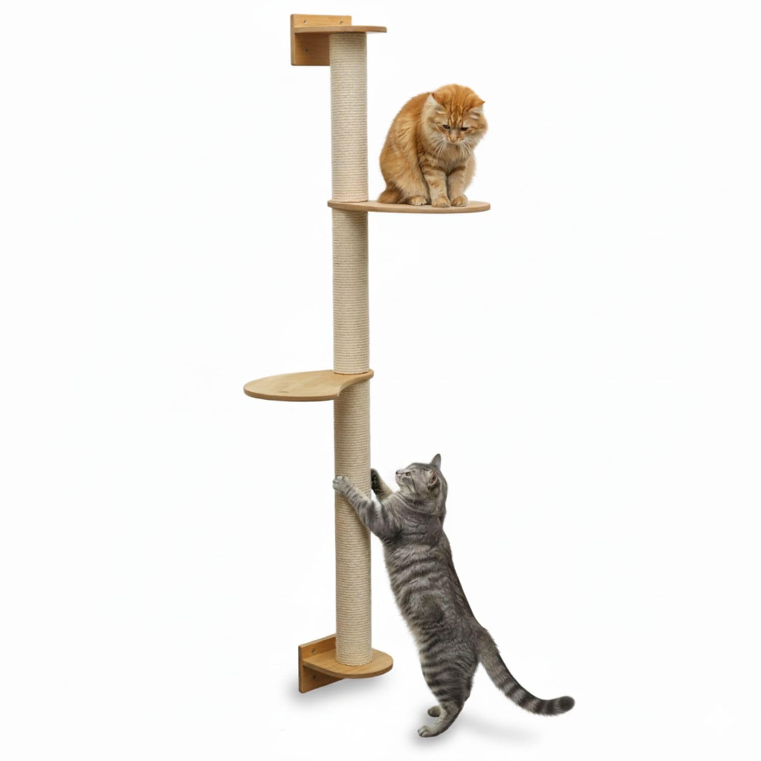 eyepower 130 cm Tiragraffi da Parete Luna con 2 Piattaforme in Bambù - Albero per Gatti Salvaspazio con Ripiani - Colonna in Sisal Naturale - Gioco da Arrampicata - Percorso da Mu…