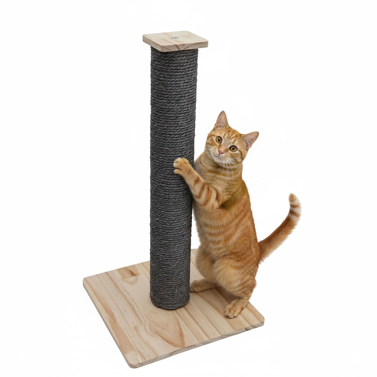 eyepower 62 cm Albero Tiragraffi per Gatti - 9,2 cm Colonna per Graffiare in Sisal con Base in Bambù - Graffiatoio per Gatto con Palo M8 Stabile - Torre Graffiante Beige su Piastr…