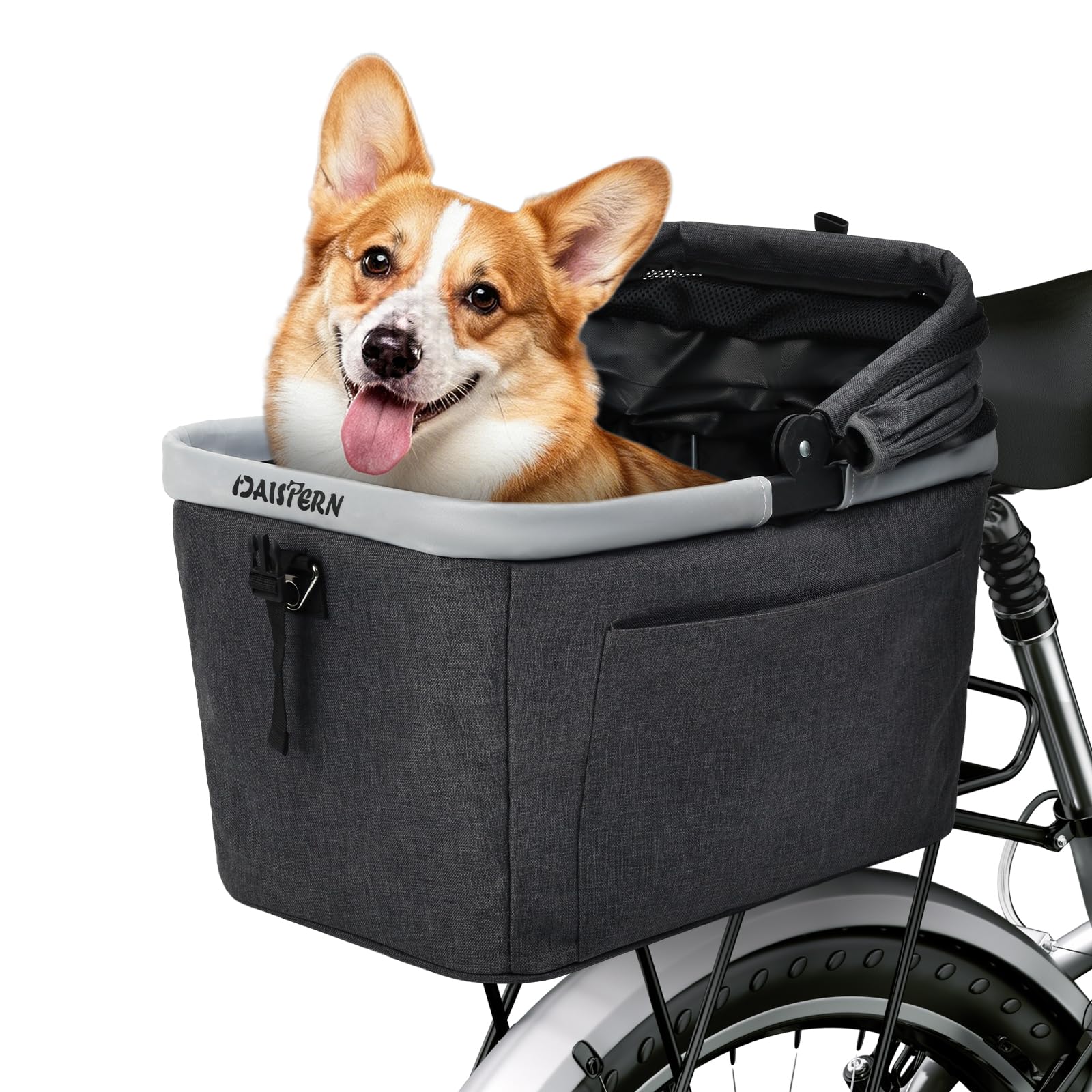 DAISTERN Cestino Posteriore Bicicletta Piegevole per Cani fino a 10KG | Telaio in Metallo, Piastra in PE, Montaggio Rapido per Ø 9-12mm, Finestra a Rete, Cuscinetto Morbido, Bande…