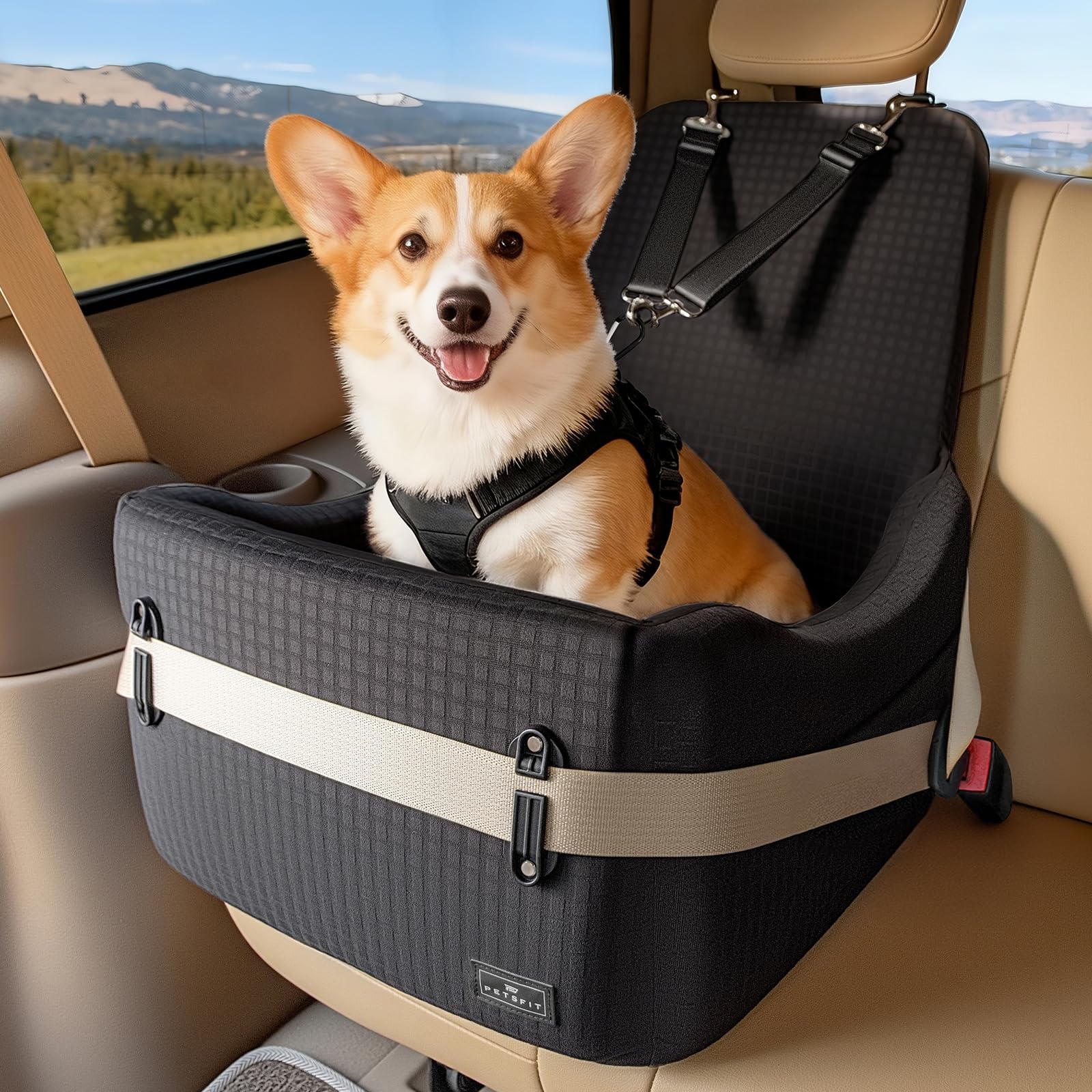 PETSFIT Seggiolino Auto per Cani di Taglia Piccola/Media fino a 15 kg – Sistema di Sicurezza Brevettato, Rialzo con Memory Foam da 13 cm, Sfoderabile e Lavabile, 2 Tasche Portaogg…
