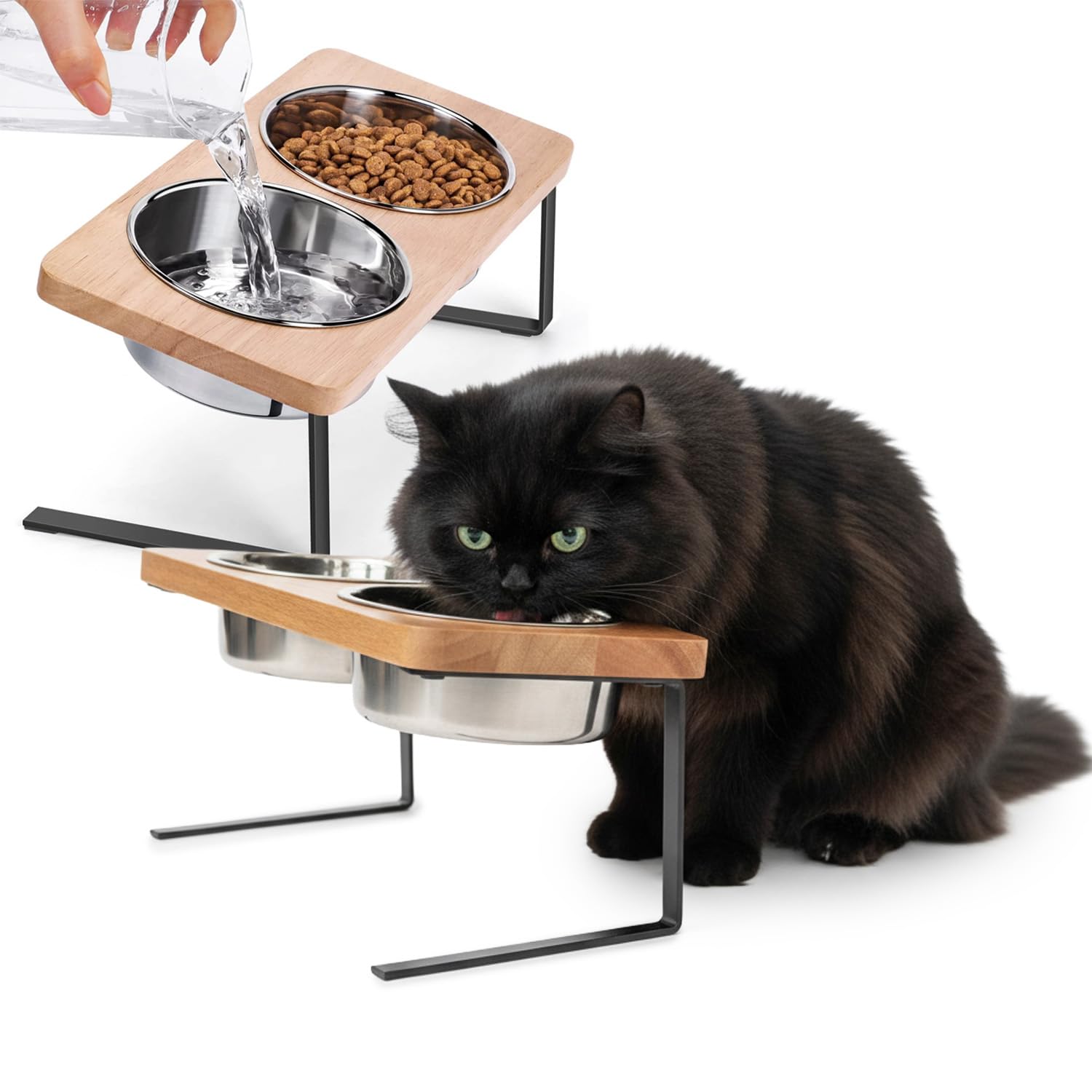 Avilia Ciotole Rialzate per Gatti e Cani 250ml, Set 2 Ciotole per Gatti in Acciaio Inox con Supporto Inclinato 15° in Bambù e Ferro, Ciotola Rialzata Ergonomica Lavastoviglie, Des…