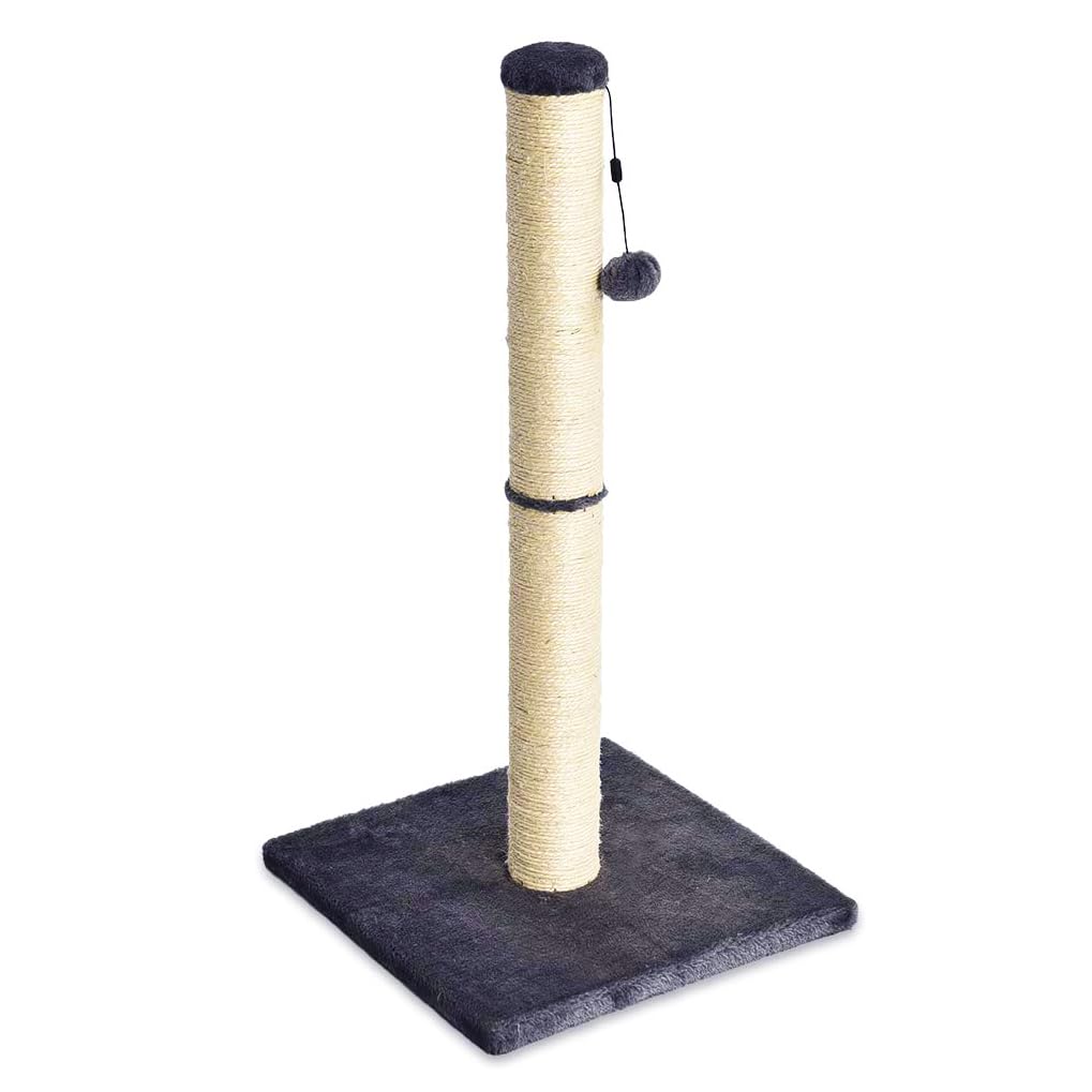 Amazon Basics Tiragraffi per gatti da interno, standard, con giocattolo pendente, 80 cm, grigio