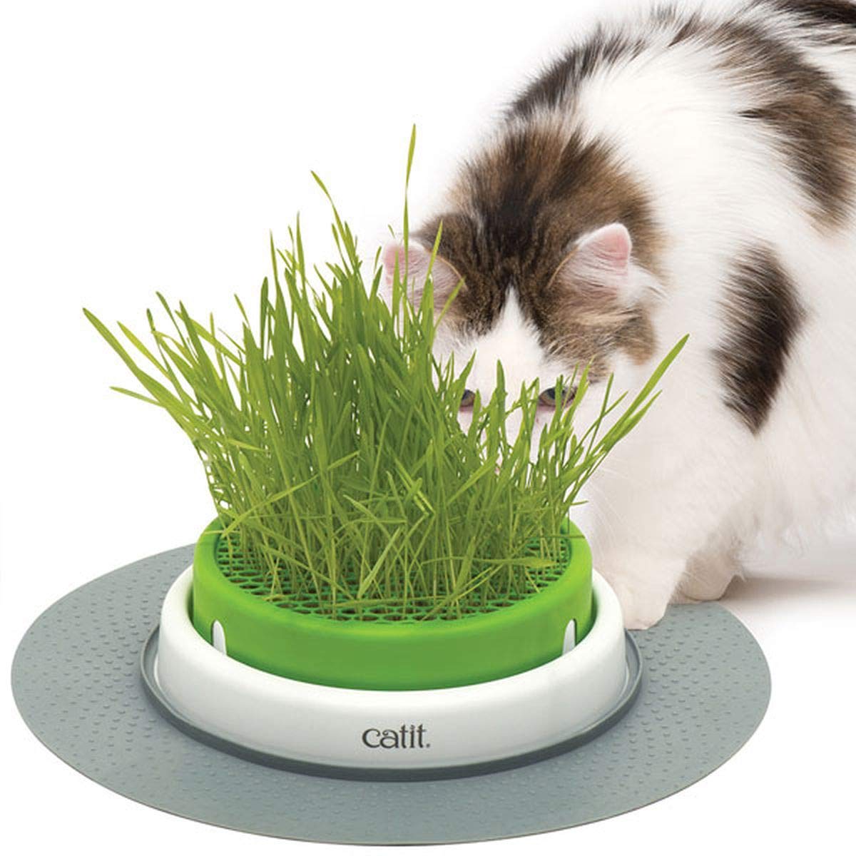 Catit Senses Grass Planter - Vaso per Erba