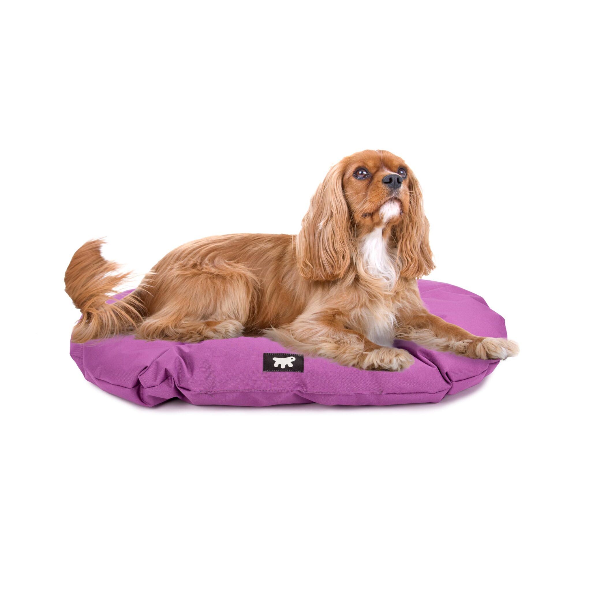 Ferplast Cuccia Cane Taglia Media - Cuscino Tessuto Antigraffio Lavabile in Lavatrice a 30° - Materassino Impermeabile 65 x 42 x 3 cm - Viola