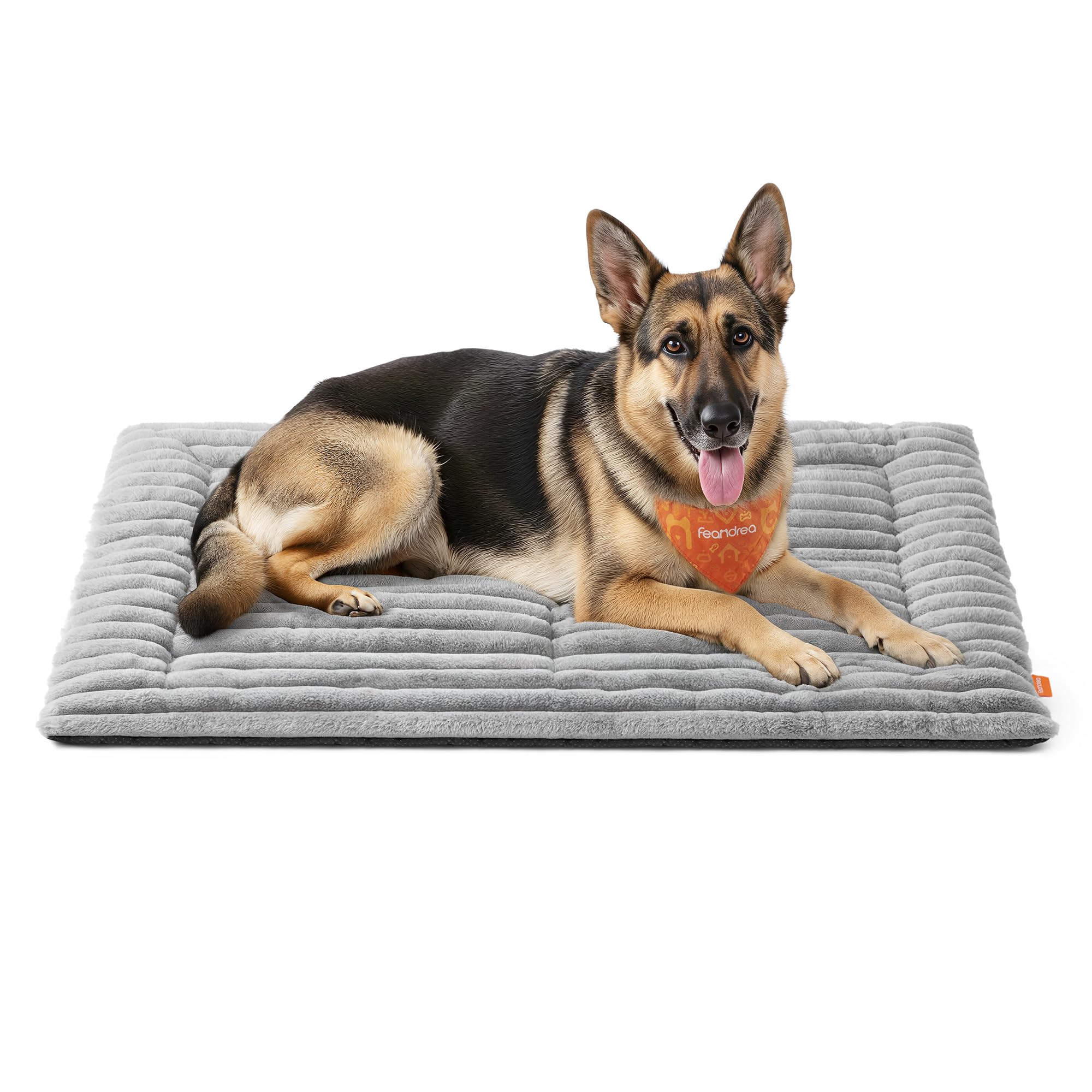 Feandrea Cuccia Cane Interno, Cuscino Cane, 120 x 75 cm, Lavatrice | Copridivano per Animali Domestici, Fondo Antiscivolo, Grigio Ardesia, Collezione BADDI PPB045GD01