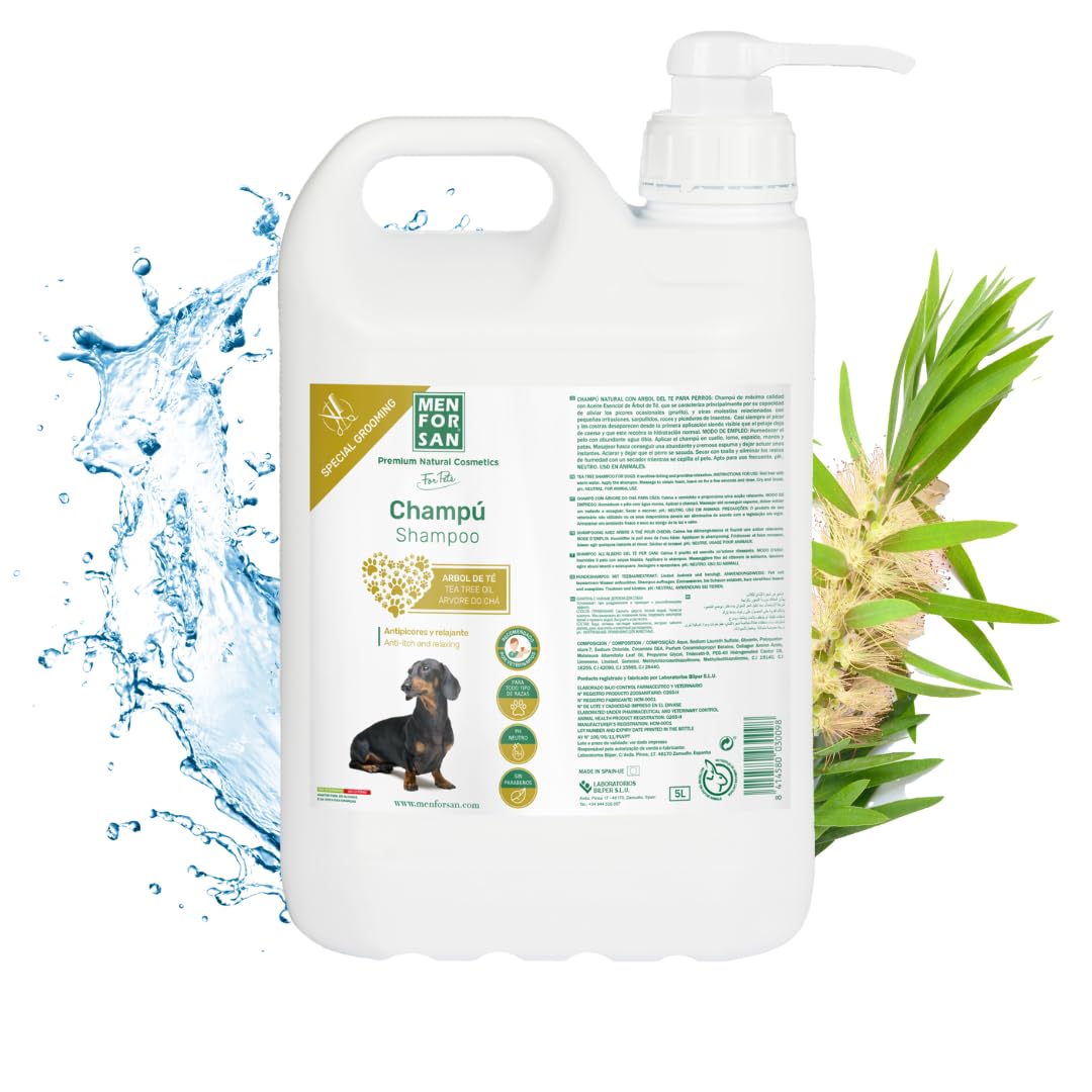 Shampooing Men for San Chien Arbre à thé Caramel (5 L)