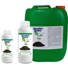 Micorrize Trichoderma inoculo radicante semi, talee favorisce lo sviluppo radici