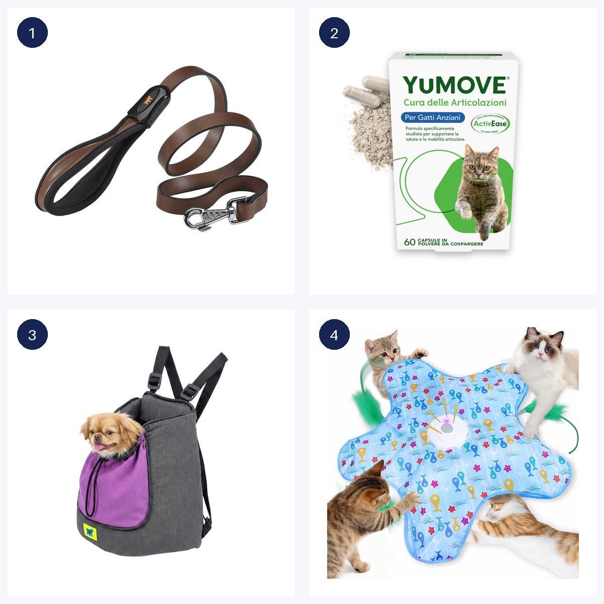 Migliori offerte · ultime 6 ore