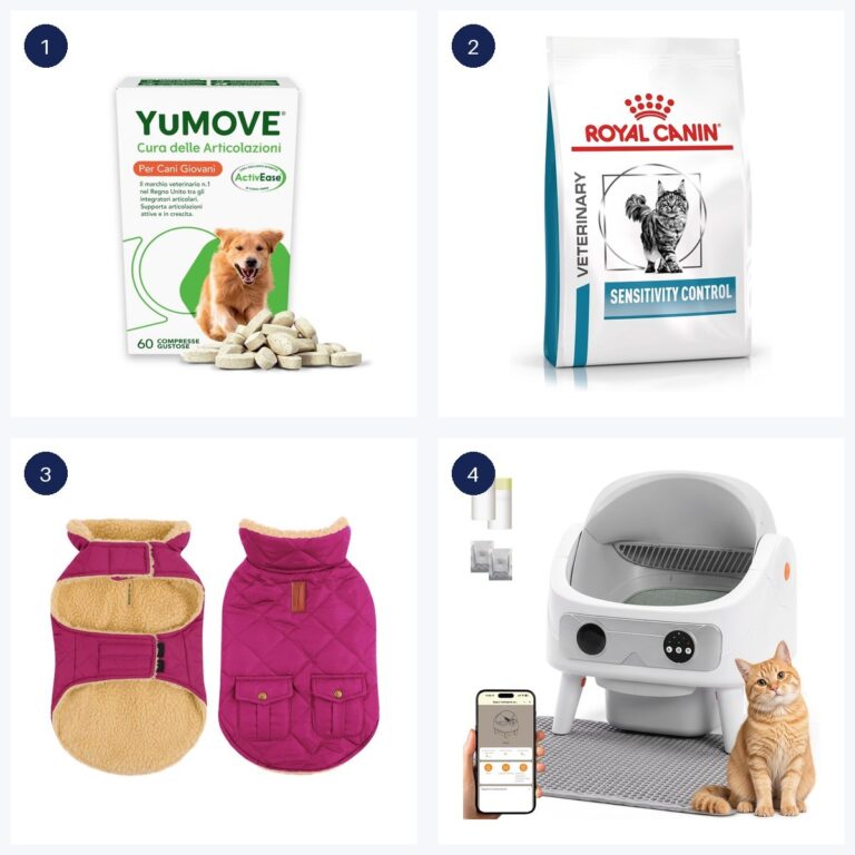 Migliori offerte · ultime 6 ore
