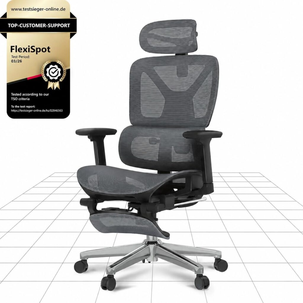 FLEXISPOT ErgoX – Sedia ergonomica da ufficio in rete con poggiapiedi, poggiatesta 3D, supporto lombare, schienale 5D regolabile, braccioli 3D, seduta traspirante, ruote, 130 kg