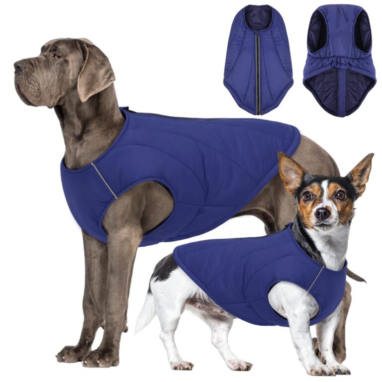 CITÉTOILE Cappotto per cani Cappotto impermeabile per cani Riflettente Abbigliamento invernale con cerniera per cani Giacca per cani, adatta a razze di taglia piccola, media e gra…