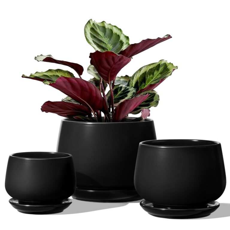 LE TAUCI Set Di 3 Vaso Per Piante In Ceramica, 10+13+16 cm Vaso per Piante da Interno Con Foro Di Drenaggio E Piattino, Vaso Da Fiori Per Interni Con Foro In Rete, Regalo Per Mamm…