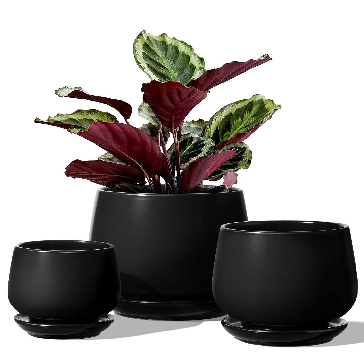 LE TAUCI Set Di 3 Vaso Per Piante In Ceramica, 10+13+16 cm Vaso per Piante da Interno Con Foro Di Drenaggio E Piattino, Vaso Da Fiori Per Interni Con Foro In Rete, Regalo Per Mamm…
