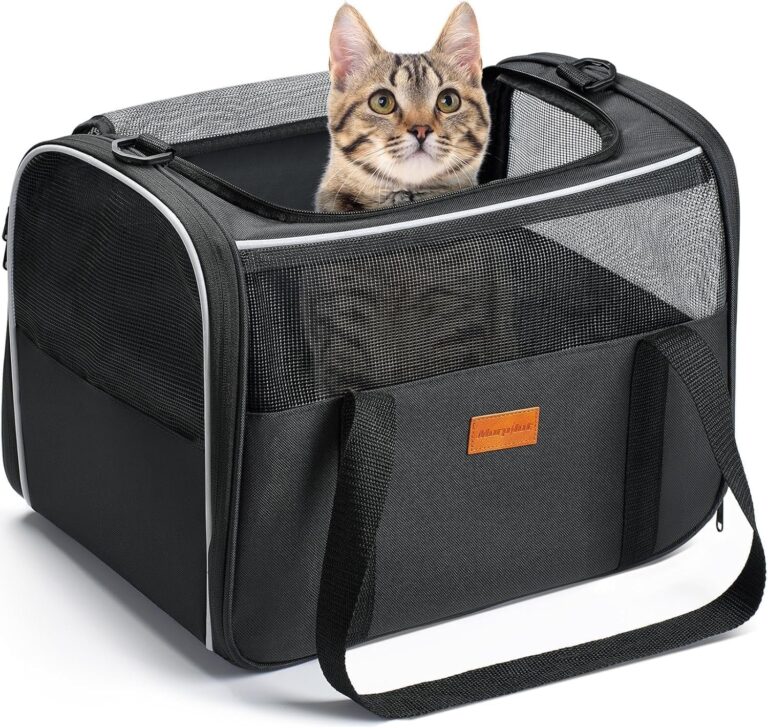 Morpilot Trasportino per Gatti Cane, 40x26x28cm Borsa da viaggio pieghevole fino a 6 kg morbido con guinzaglio interno per Viaggi Lunghi e Brevi