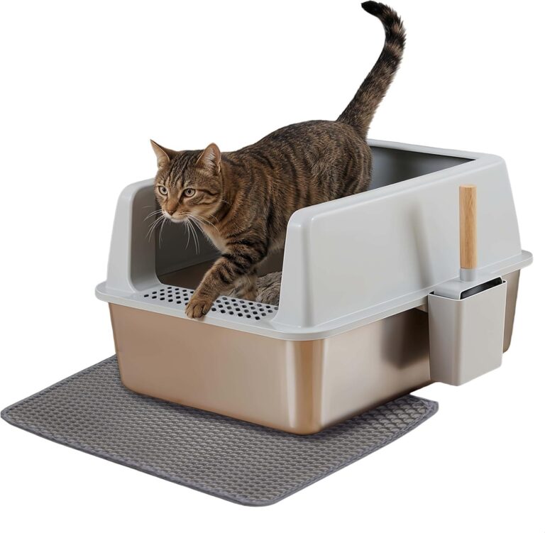 BingoPaw Lettiera Acciaio Inox per Gatti, Pareti Alte 31cm Facile da Pulire | Lettiera Gatto Acciaio Inox Grande, 60,5x40,5x31 cm, 26 L, Aperta, Anti-Dispersione, con Tappetino EV…