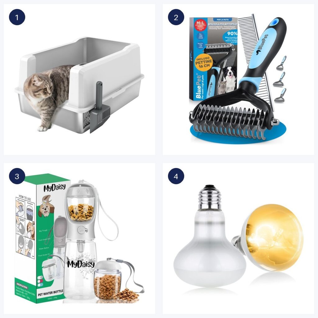 Migliori offerte · ultime 6 ore