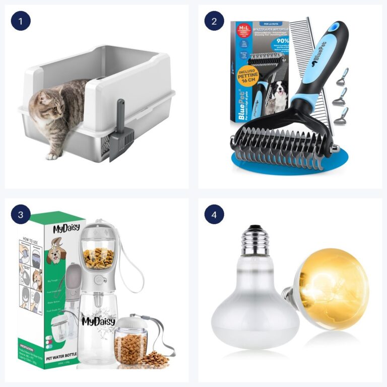 Migliori offerte · ultime 6 ore