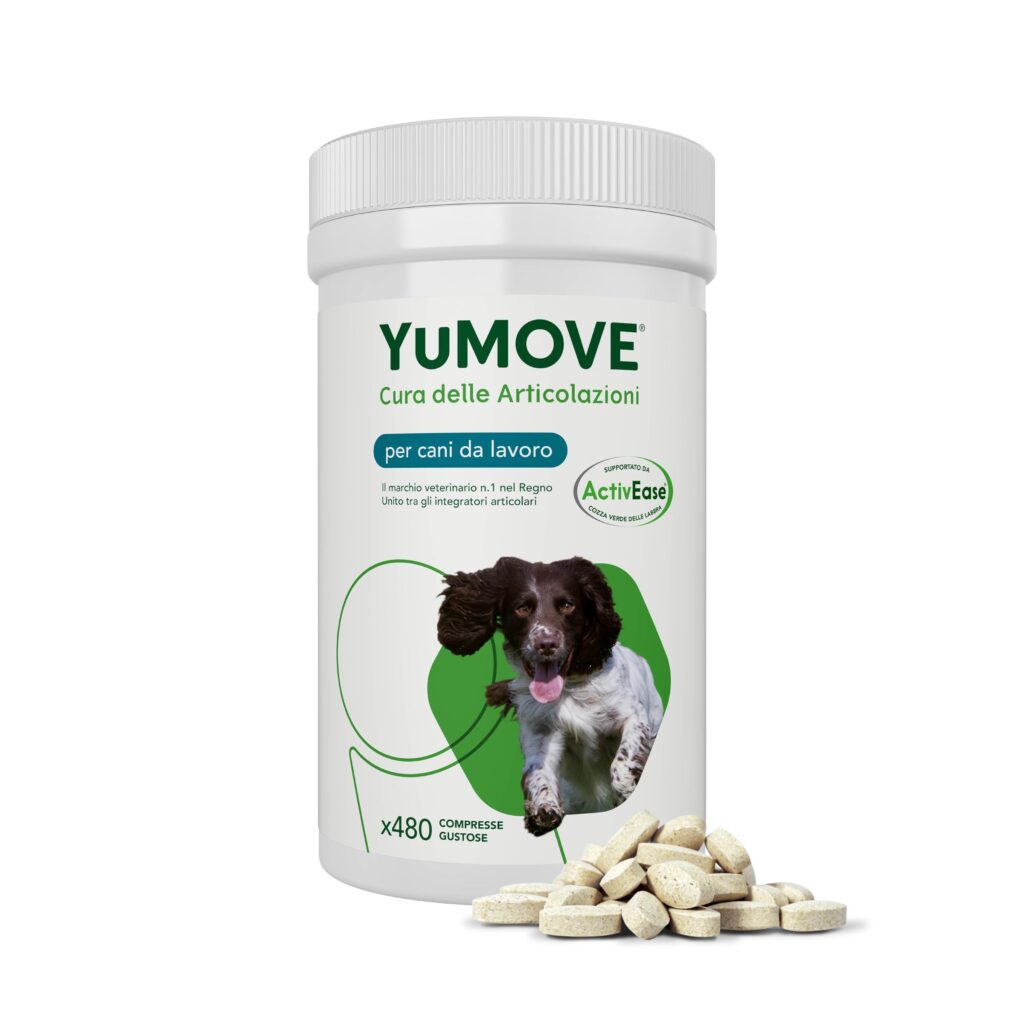 Yumove Integratore Articolazioni Cane Lavoro – 480 Compresse ActivEase | Brevetto in Corso, Cozza Verde, Beta-Glucani, Tutte Le Razze, Glucosamina, Supporto Scientifico, Consiglia…