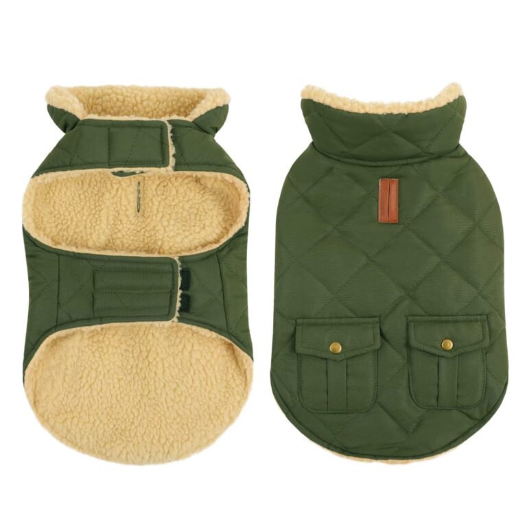 CITÉTOILE Gilet Termico Invernale per Cani in Lana Spessa Verde XS | Cappottino Caldo Antivento e Traspirante. Chiusura a Strappo, Facile da Indossare. Per Cani di Piccola e Media…