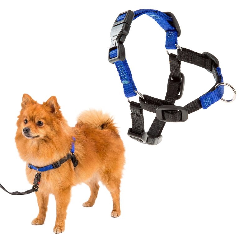 Ferplast Pettorina Cane Taglia Piccola COACH, Pettorina per Cani da Addestramento Previene gli Strattoni durante le Passeggiate, Massimo controllo del cane, Torace 33-41 cm.