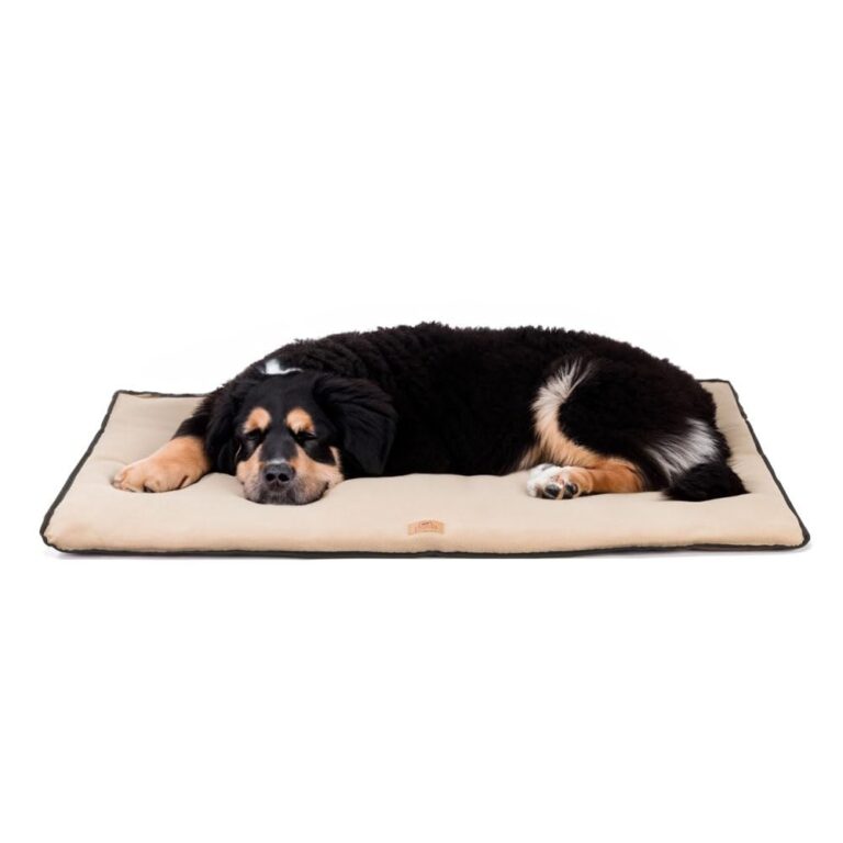Ferplast Cuscino Cane e Gatto JOLLY MICROFLEECE, Cuccia in Caldo e Soffice Micropile per Taglia Grande, Double Face Anti Graffio, Materassino Lavabile, 108 x 79 x 3,5 cm. Marrone
