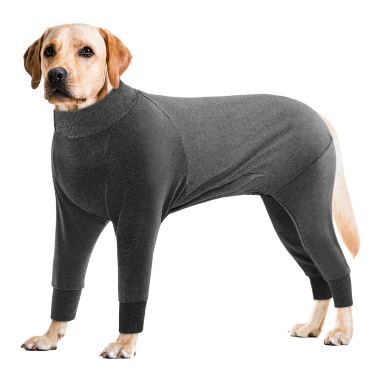 CITÉTOILE Tuta di Recupero per Cani e Gatti di Grossa Taglia, Camicia da Pigiama Protettiva a Maniche Lunghe per Animali Domestici, Alternativa al Collare Elettronico, Grigio, 3XL