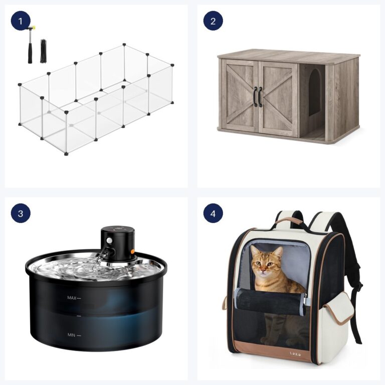 Migliori offerte · ultime 6 ore