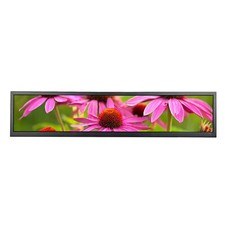 Monitor LCD 24 pollici 1920x360 con porta USB HD Iamge rotazione e riproduzione video USB
