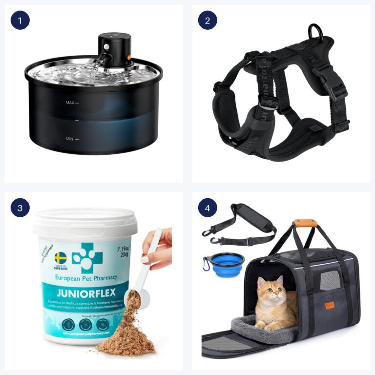 Migliori offerte · ultime 6 ore