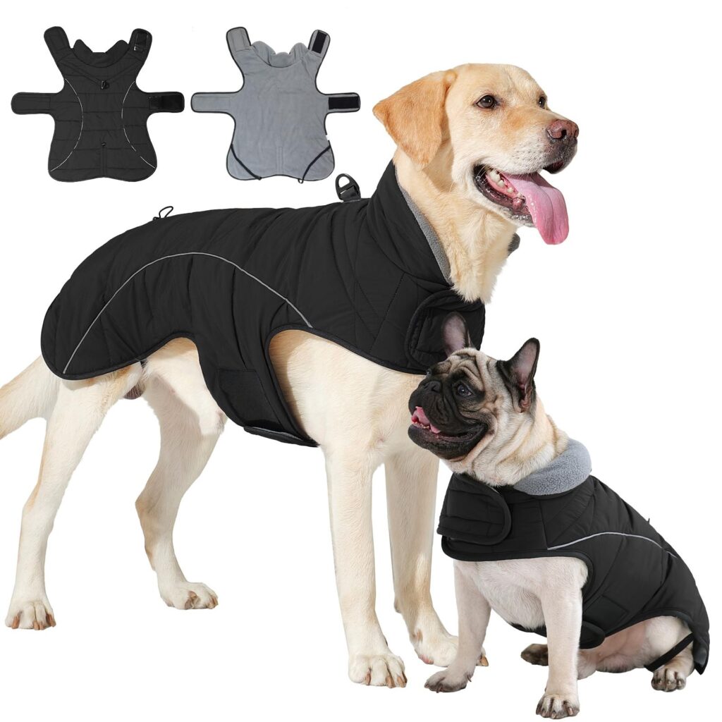 HEYWEAN Cappotto per cani Giacca impermeabile cane Cappotto invernale caldo con anello D Cappotti in pile cane Riflettente Impermeabile caldo Giacca invernale per cani di taglia p…