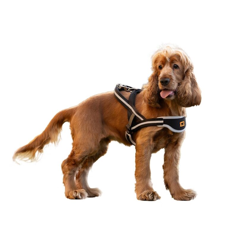 Ferplast Pettorina Cane ERGOCOMFORT NORDIC, Pettorina Svedese per Cane, Comoda Imbottita, Riflettente, Chiusura conMicroregolazione, Rilascio Rapido, SMALL
